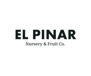 EL PINAR logo